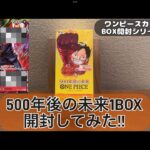 【ワンピースカード】500年後の未来BOX開封してみた2。