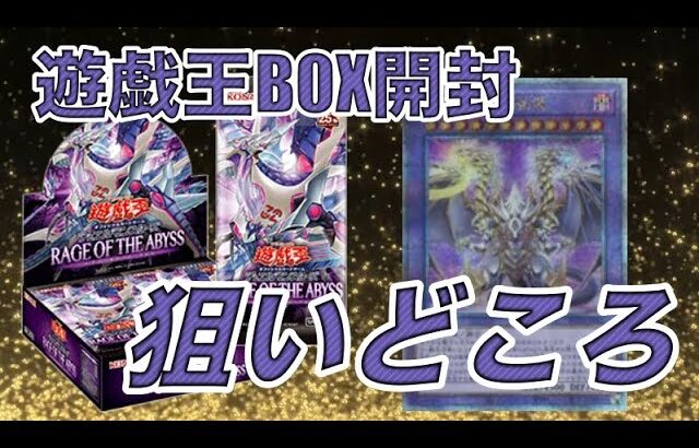 遊戯王BOX開封 【第130弾】年末になる前に狙い所が沢山ある気になるBOXを開封したので報告します。