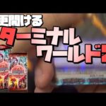 【遊戯王OCG】今更開封するターミナルワールド2で人間らしくない声を出す。【開封動画】