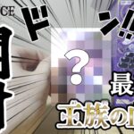 【ONE PIECEカードゲーム】最新弾 王族の血統＋αを開封！！