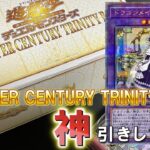 年末箱開封！ドラゴンメイド目当てで引くぞ！！QUARTER CENTURY TRINITY BOX