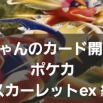 ポケカ スカーレットex 開封！！　毎日開封中～