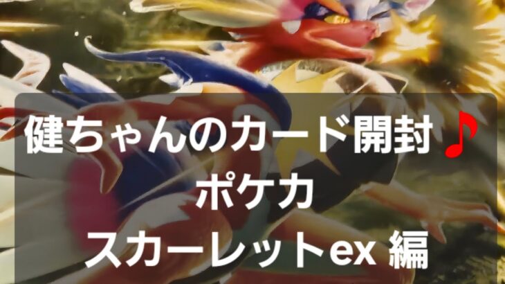 ポケカ スカーレットex 開封！！　毎日開封中～