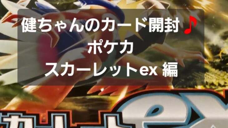 ポケカ スカーレットex 開封！！今年も残り後10日～