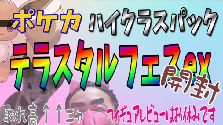 【リアルブラッキー登場か!?】 ポケカ テラスタルフェスex 開封 イーブイ 153ぶひ