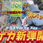 【ポケカ開封】幻の神パック？ブイズ系統収録テラスタルフェスex開封!! SAR来い！