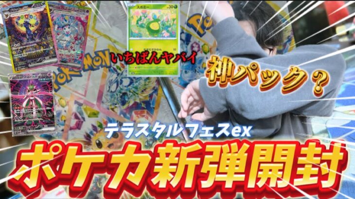 【ポケカ開封】幻の神パック？ブイズ系統収録テラスタルフェスex開封!! SAR来い！