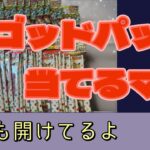 ゴッドパック当てたいんじゃ【ポケモンカード】