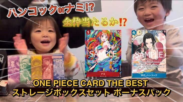 『ワンピカード』ストレージボックスセット‼️ボーナスパックでハンコックかナミ出るか⁉️