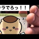 ポケカ開封の儀