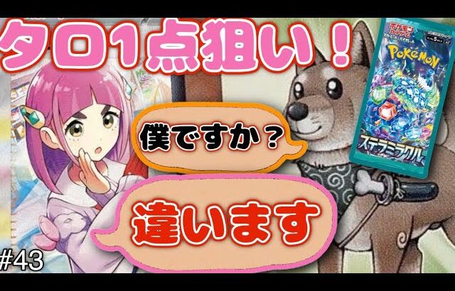 タロ1点狙い！出るか！？柴戦士タロ！！【ステラミラクル開封】【ポケカ】【遊戯王】