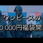 【ワンピース】の10,000円福袋開封👍