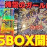 【遊戯王】12期最後にして待望のブラックマジシャンガール収録！！！最後を締めくくることはできるか！？【アライアンスインサイト】