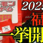 【開封動画】2025年正月に買い集めた福袋を一挙開封！【ポケカ】