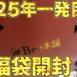 【ゆっくり実況】今年もよろしくお願いします！2025年一発目の動画は福袋開封だぁぁぁぁぁぁぁぁぁぁぁぁ！！