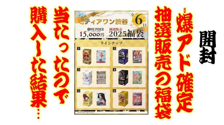 【開封】2025年抽選でしか買えない15000円福袋＆30000円福袋開封【ワンピースカード】