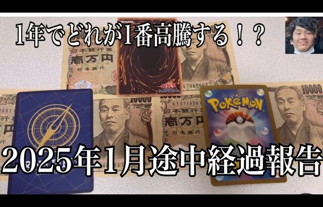 「カード投資」第2回1年間投資企画！『遊戯王ポケカワンピカード、1万円分で1番高騰するのはどれ！？』2025年1月途中経過報告