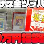 【遊戯王】冬のボーナス全ツッパ企画第3弾！！お正月の日本橋オタロードを丸一日散策してようやく見つけた20万円高額福袋を購入した結果…とんでもないカードが出てきて震えてしまったゆっくり実況者【開封】