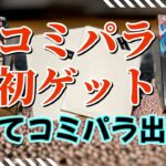 33000円オリパ行くぞ【ワンピースカード】