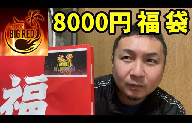 【MTG】宮崎県MTGショップBIGREDの福袋を開封したら意味不明のカードが…