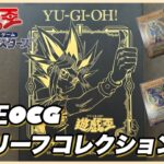 【遊戯王OCG】旧レリーフコレクション紹介！ファイル1冊分一挙公開