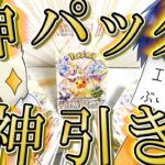 【神回】ブイズSAR合計〇枚…！？　ブイズが主役のポケカ「テラスタルフェス」を開封した結果…！【ポケカ】【ゆっくり実況】