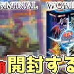 【遊戯王】今更ながらTERMINAL WORLDを3箱開封してみたら、驚きの結果に…【遊戯王開封】