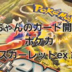 ポケカ スカーレットex 開封！！　毎日開封中～★