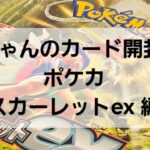 ポケカ スカーレットex 開封！！　明日はいよいよ新弾発売だぁ～⭐