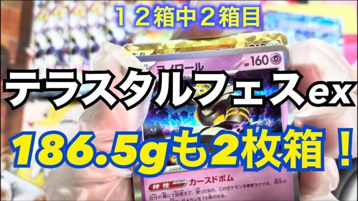 【ポケカ開封】１枚箱になるまで開封をやめない２箱目【テラスタルフェスex】