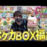 【ポケカ】テラスタルフェスexを無限開封したいのでポケカBOX福袋の中身に賭ける男！！【開封動画】