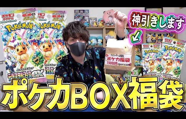 【ポケカ】テラスタルフェスexを無限開封したいのでポケカBOX福袋の中身に賭ける男！！【開封動画】