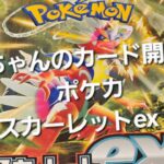 ポケカ スカーレットex開封！！　まだまだサーナイトexSARが諦められない!!