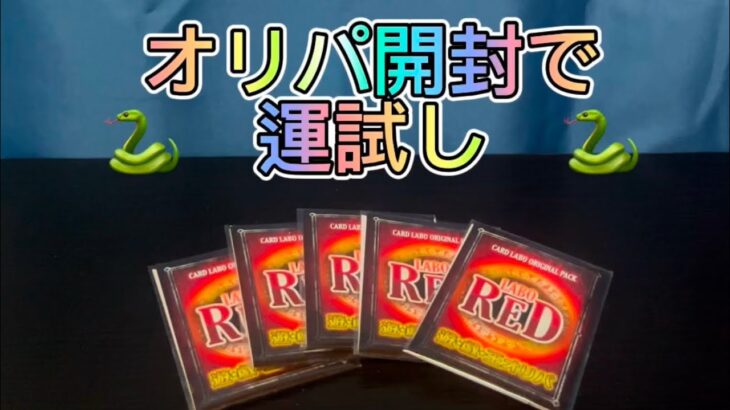 【遊戯王】オリパ開封で今年の運試し！