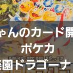 ポケカ 楽園ドラゴーナ開封！！　久しぶりのドラゴーナ開封編！！