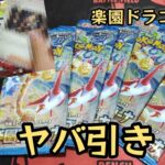 【ポケモンカード】ポケカ開封‼️兄弟で楽園ドラゴーナ５パックずつ✨まさかのあのカードが出ました‼️～引き強～