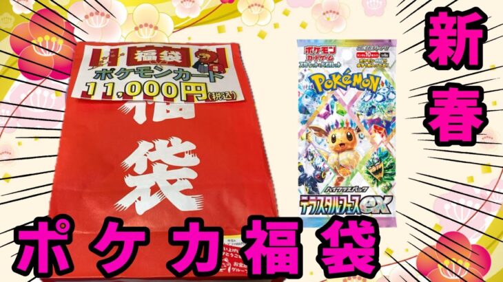 【ポケカ】メディオ！の１万円ポケモンカード福袋を開封！！