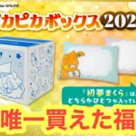 【ピカピカボックス】今年唯一買えた福袋の件【ポケカ】【オリパ開封】