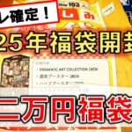 【遊戯王】アーコレ確定の二万円福袋を開封したらとんでもないことが起きました【福袋】