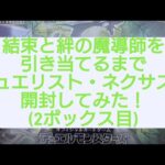 (遊戯王)結束と絆の魔導師を引き当てるまで開封！デュエリスト・ネクサス編(2ボックス目)