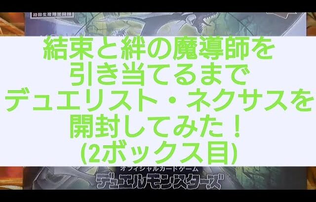 (遊戯王)結束と絆の魔導師を引き当てるまで開封！デュエリスト・ネクサス編(2ボックス目)