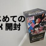 【ワンピカード開封】新たなる皇帝‼️はじめてのBOX 開封‼️