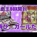 遊戯王BOX開封【第143弾】リベンジ！諦め切れずに1BOXだけ購入して、ガールたんを狙うべく開封したので報告します。