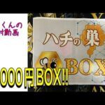 【遊戯王】Bee本舗さんのハチの巣BOX開封！！