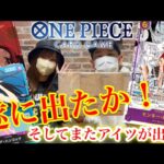 【ワンピースカード】（EB-02）エクストラブースターリベンジ開封に遂に狙いが出たか！？そしてまたアイツが、、、