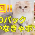 【ワンピースカードゲーム】神回！引けるのか？GODパック！！引かなければ動画はボツ！開封動画？or ねこ動画？