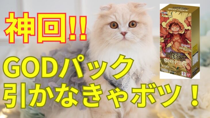 【ワンピースカードゲーム】神回！引けるのか？GODパック！！引かなければ動画はボツ！開封動画？or ねこ動画？