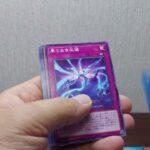 【開封動画】　遊戯王OCG デュエルモンスターズ　WORLD PREMIERE PACK2024を複数パック開封！