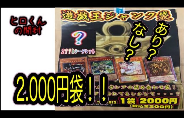 【遊戯王】遊戯王ジャンク袋を開封したらすごいことになりました！？