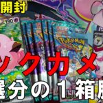 【ポケカ開封】バトルパートナーズ１箱であのカードを狙っていった結果